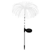solar  light